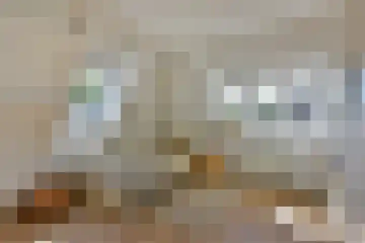 Drieboomlaan 197 Hoorn thumbnail 31