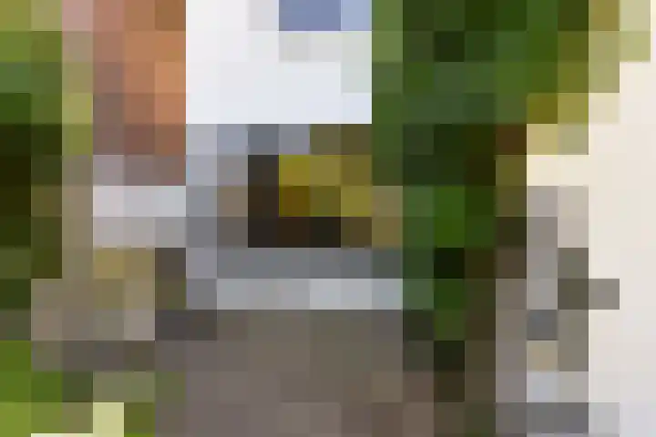 Drieboomlaan 197 Hoorn thumbnail 37