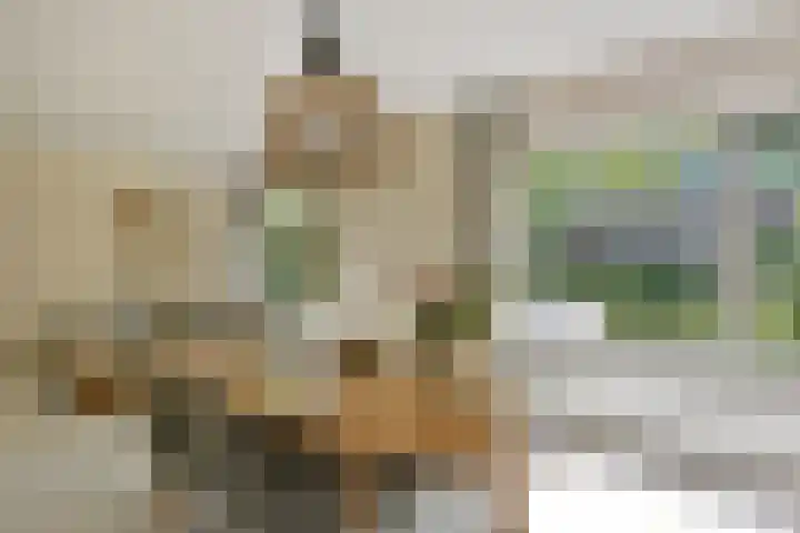 Drieboomlaan 197 Hoorn thumbnail 4