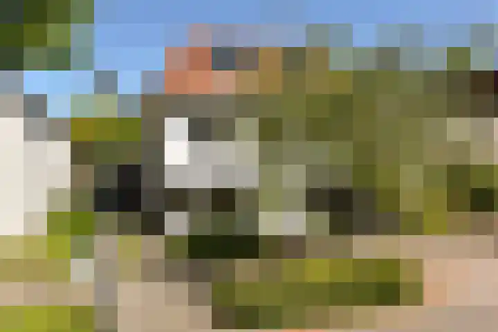 Drieboomlaan 197 Hoorn thumbnail 45