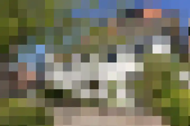 Drieboomlaan 197 Hoorn thumbnail 57