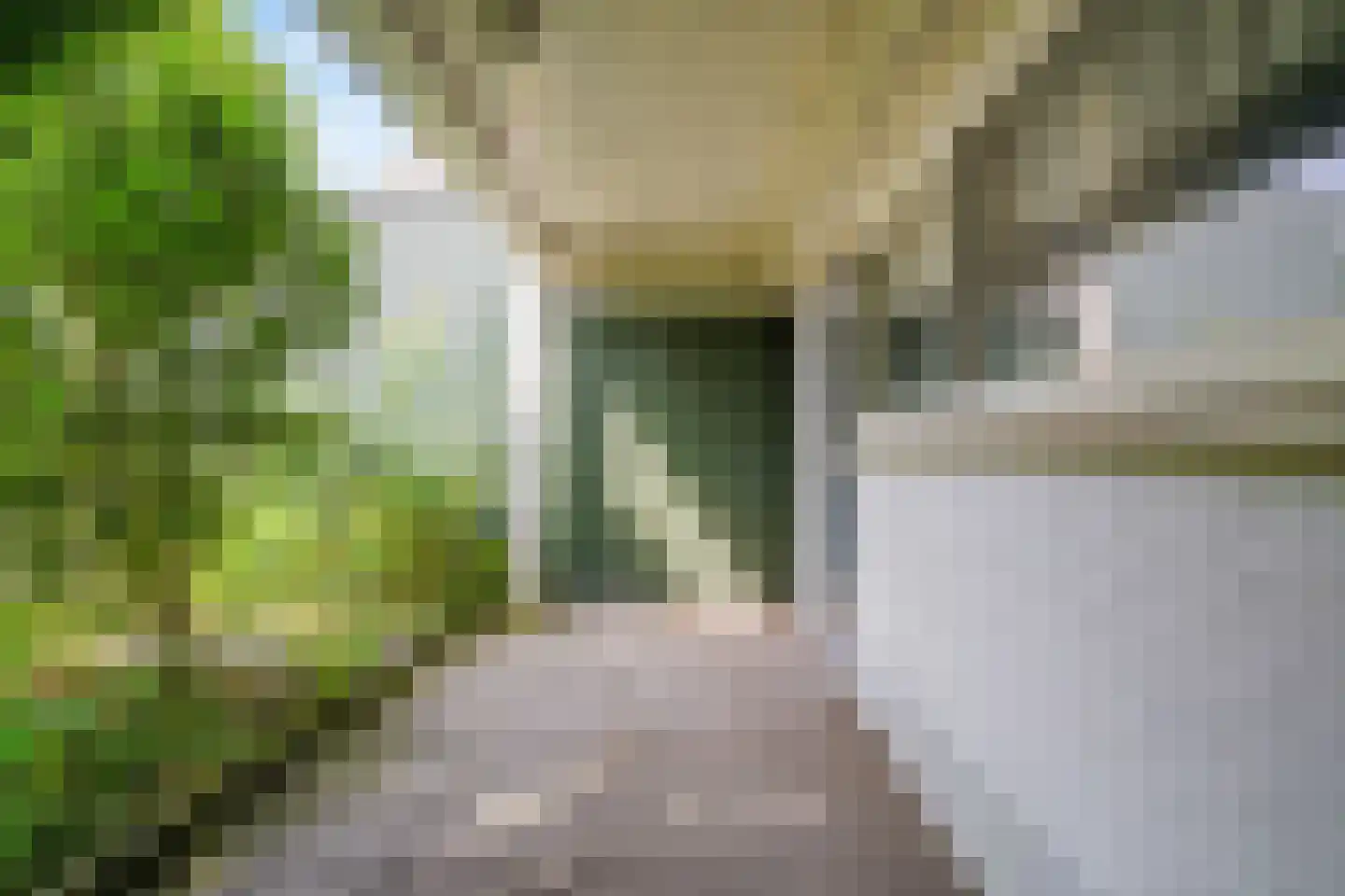 Drieboomlaan 201 Hoorn thumbnail 26