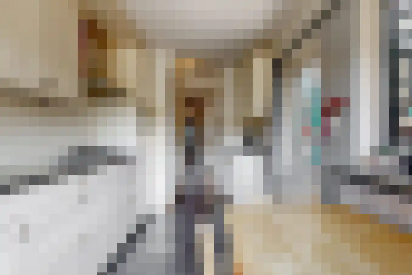 Drieboomlaan 22 Hoorn thumbnail 16