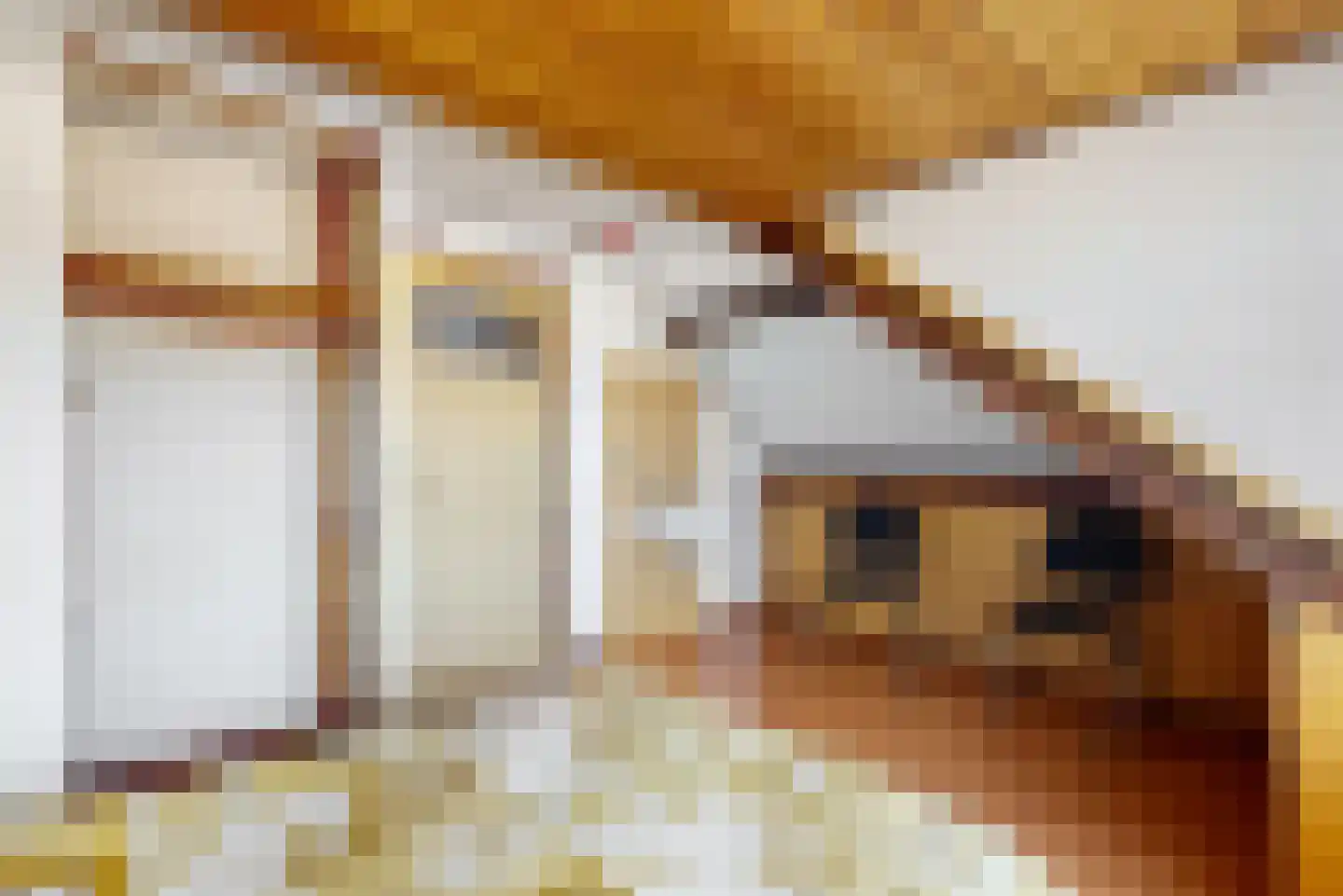 Drieboomlaan 22 Hoorn thumbnail 23