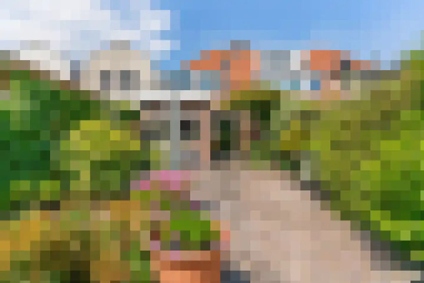 Drieboomlaan 22 Hoorn thumbnail 31