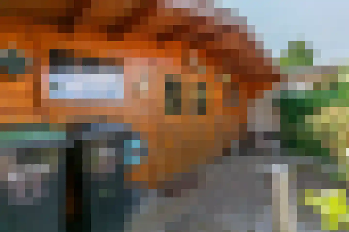 Drieboomlaan 22 Hoorn thumbnail 32
