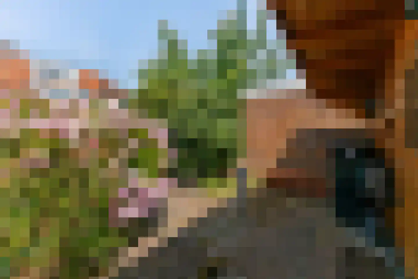 Drieboomlaan 22 Hoorn thumbnail 33
