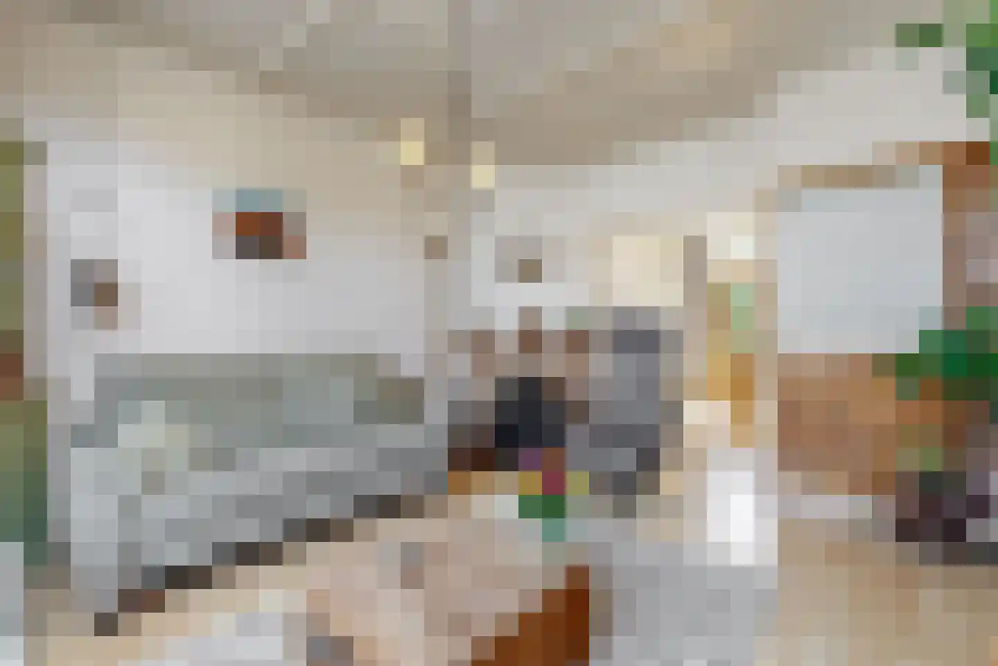 Drieboomlaan 22 Hoorn thumbnail 8
