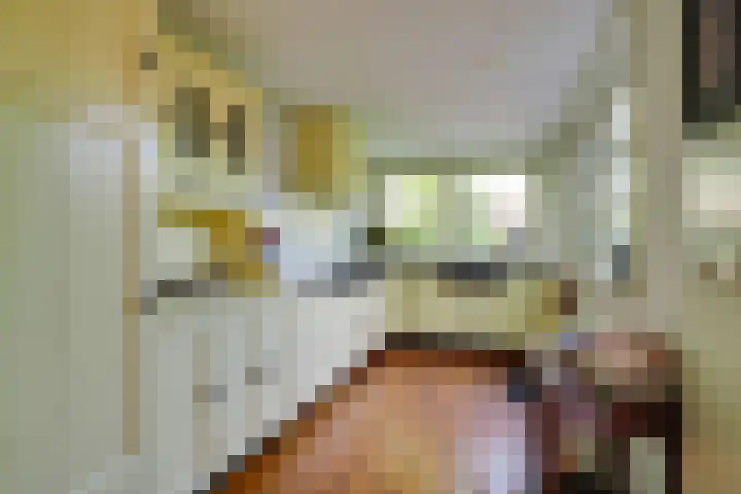 Drieboomlaan 249 Hoorn thumbnail 11