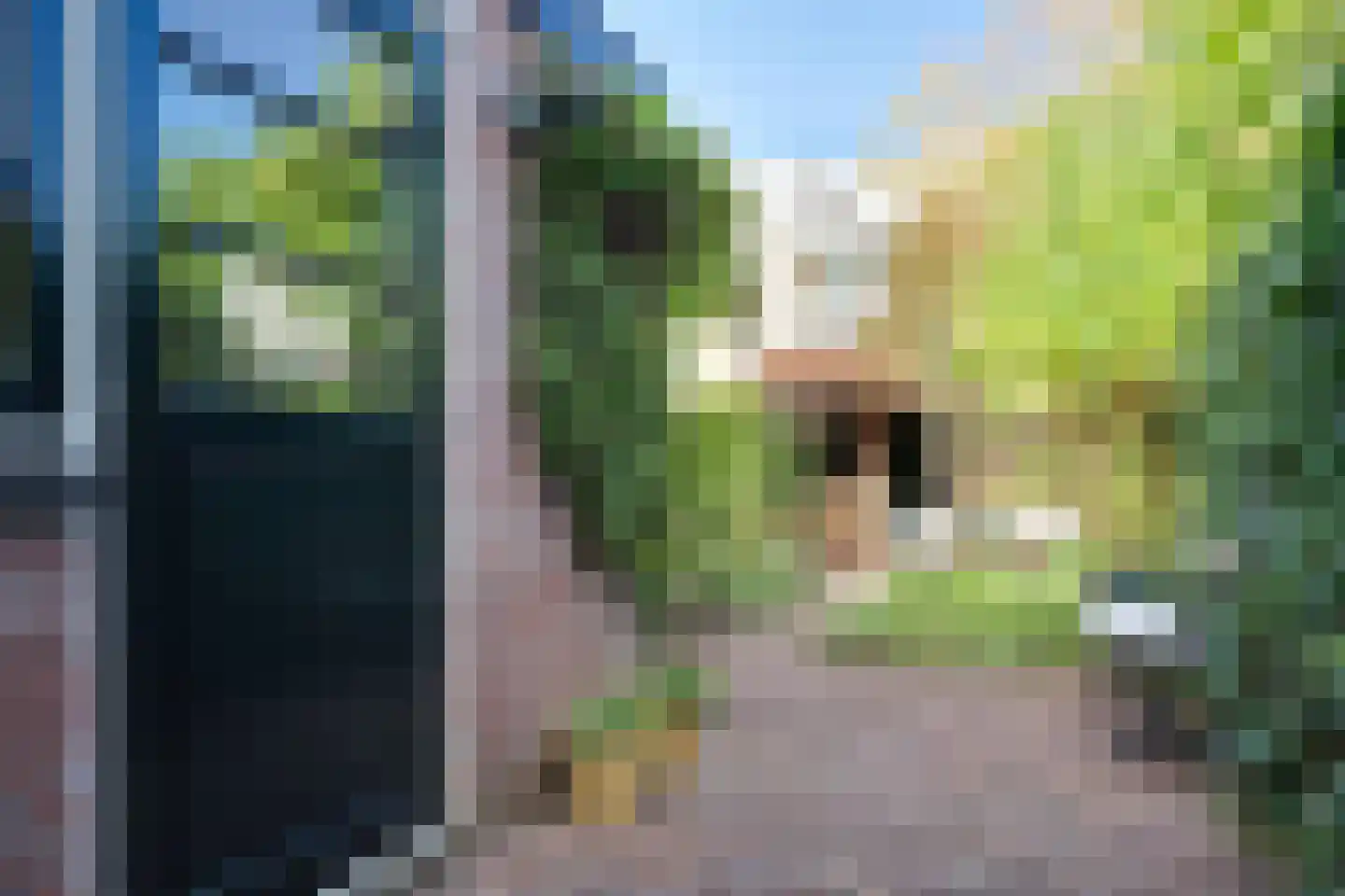 Drieboomlaan 249 Hoorn thumbnail 22