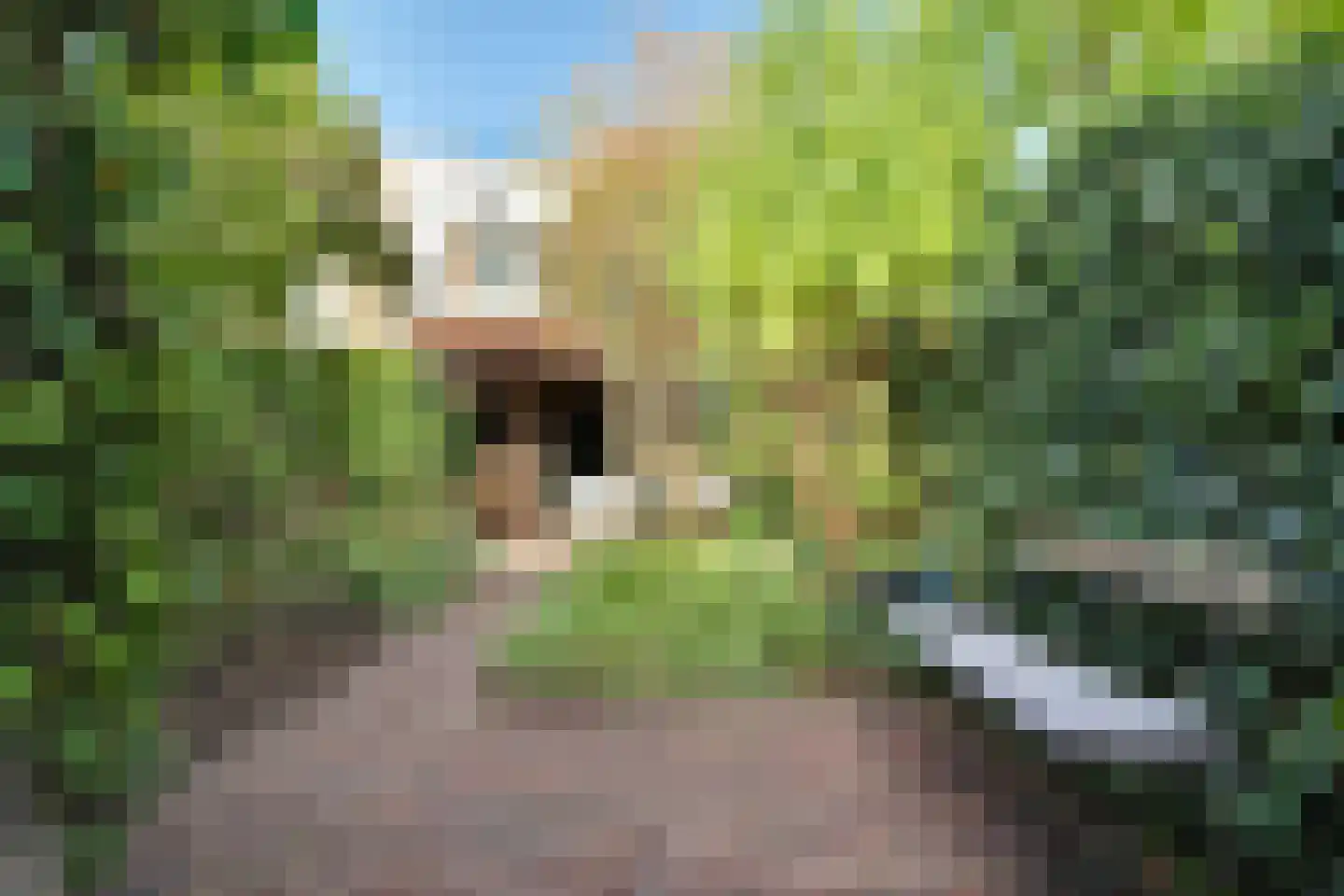 Drieboomlaan 249 Hoorn thumbnail 23