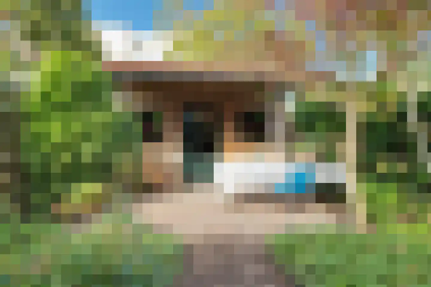 Drieboomlaan 249 Hoorn thumbnail 24