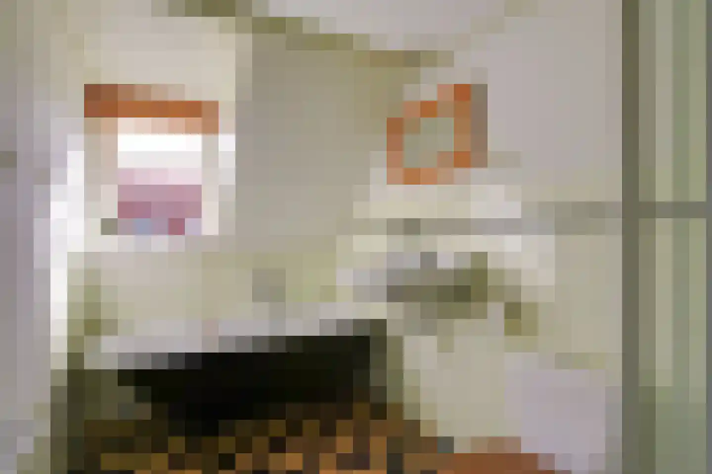 Drieboomlaan 249 Hoorn thumbnail 31