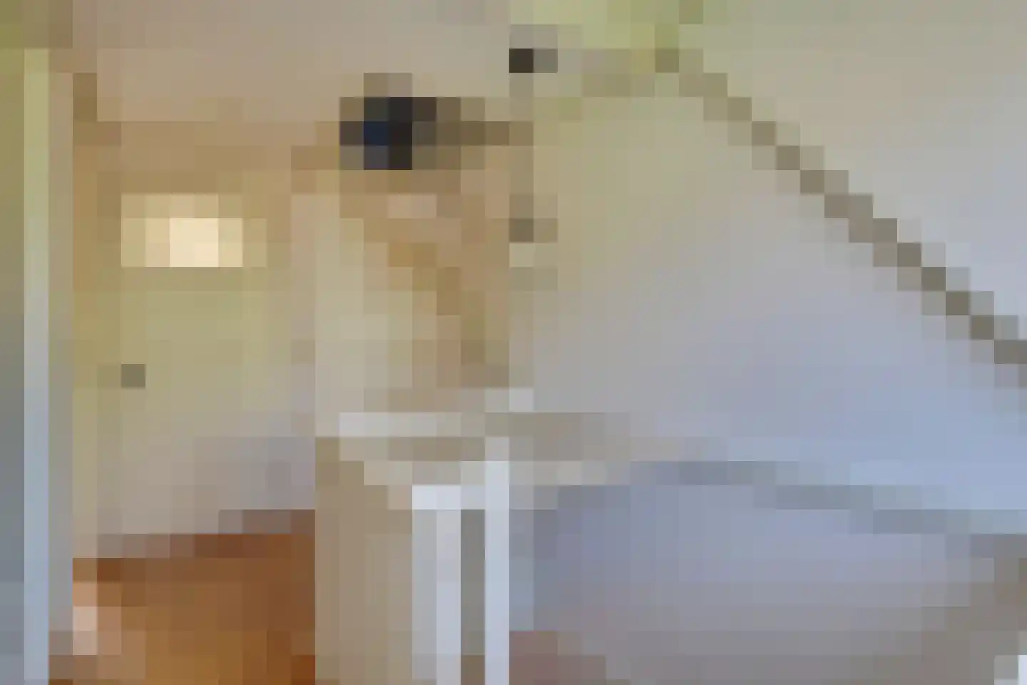 Drieboomlaan 249 Hoorn thumbnail 37