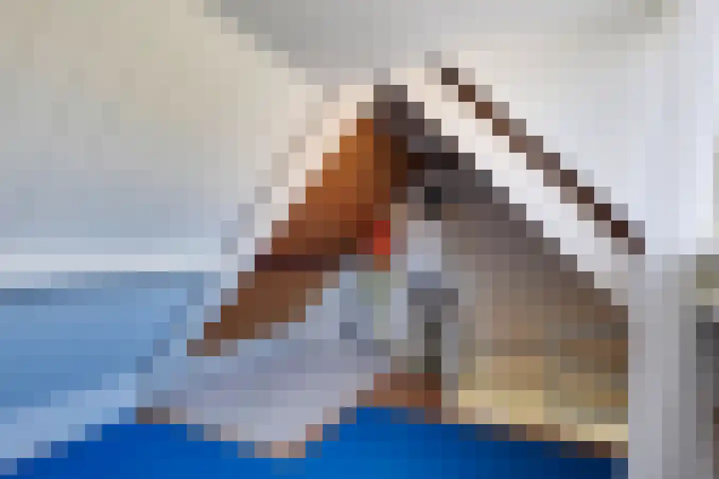 Drieboomlaan 249 Hoorn thumbnail 41