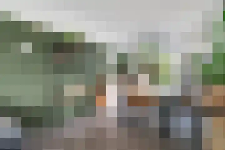 Drieboomlaan 263 Hoorn thumbnail 13