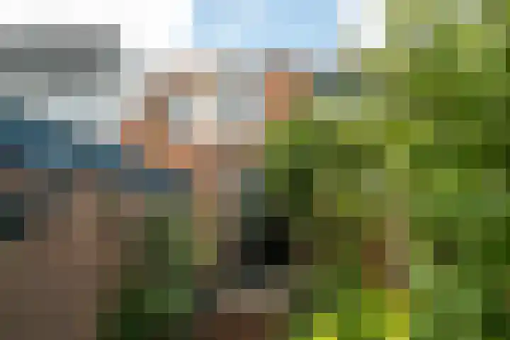 Drieboomlaan 263 Hoorn thumbnail 20