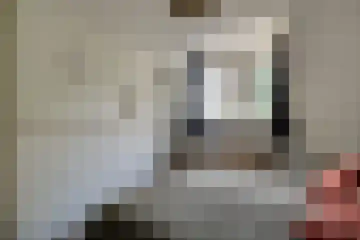 Drieboomlaan 263 Hoorn thumbnail 33