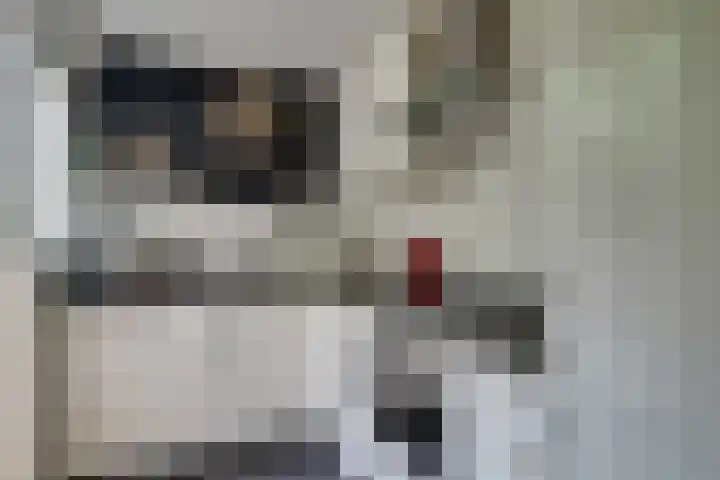 Drieboomlaan 263 Hoorn thumbnail 4