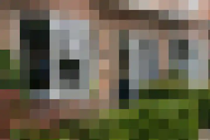 Drieboomlaan 263 Hoorn thumbnail 46