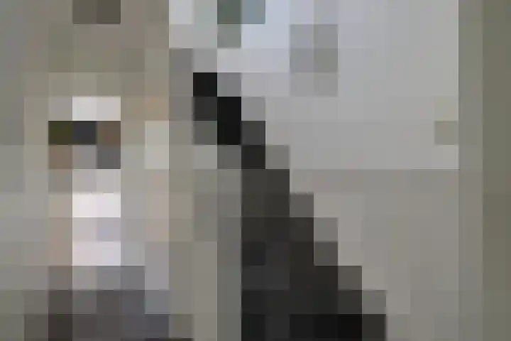 Drieboomlaan 263 Hoorn thumbnail 7