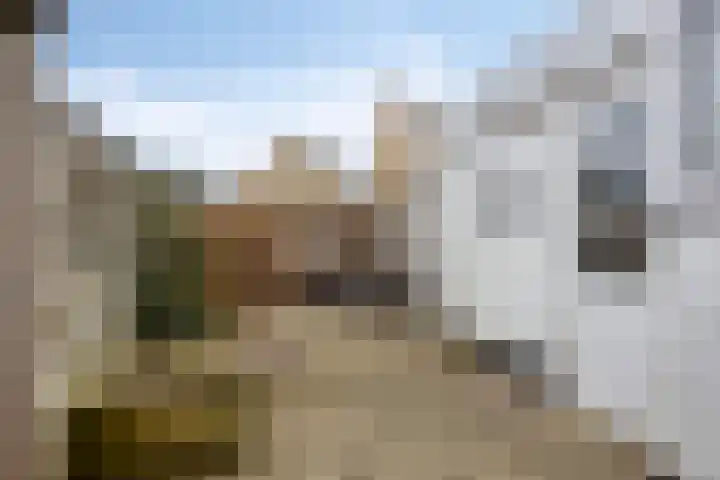 Drieboomlaan 275 Hoorn thumbnail 26