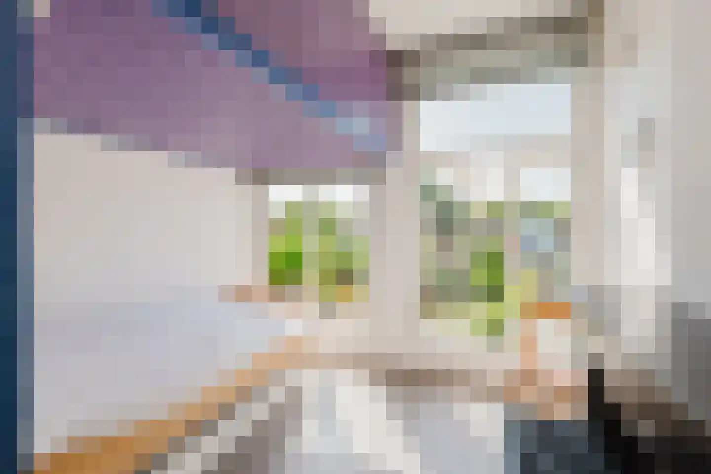 Drieboomlaan 36 Hoorn thumbnail 35