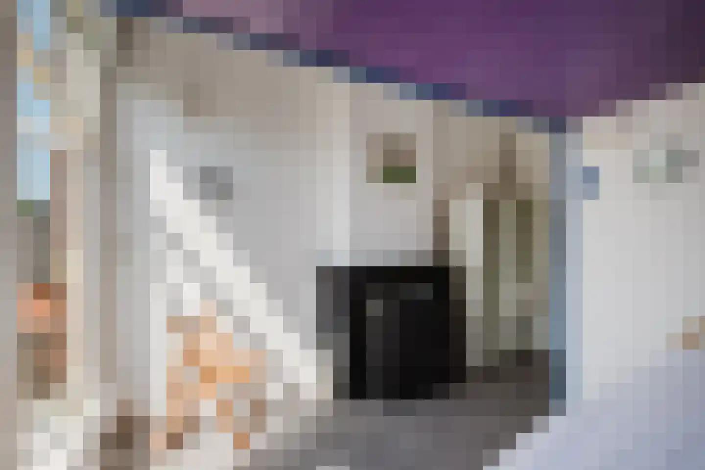 Drieboomlaan 36 Hoorn thumbnail 37