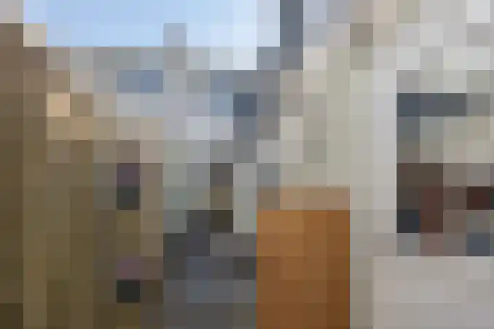Drieboomlaan 47 Hoorn thumbnail 31