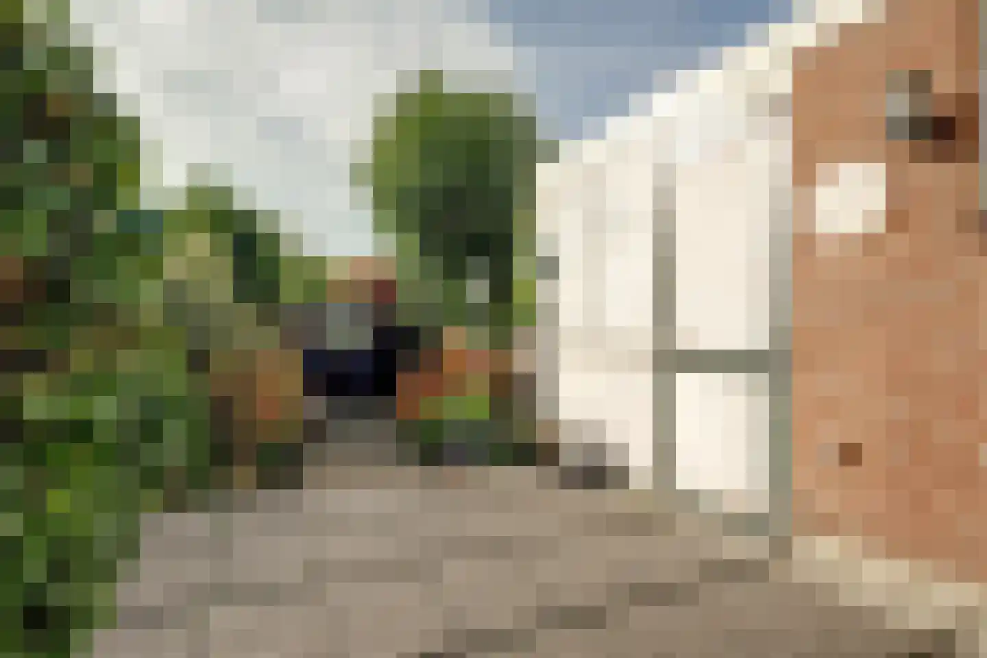 Drieboomlaan 54 Hoorn thumbnail 20