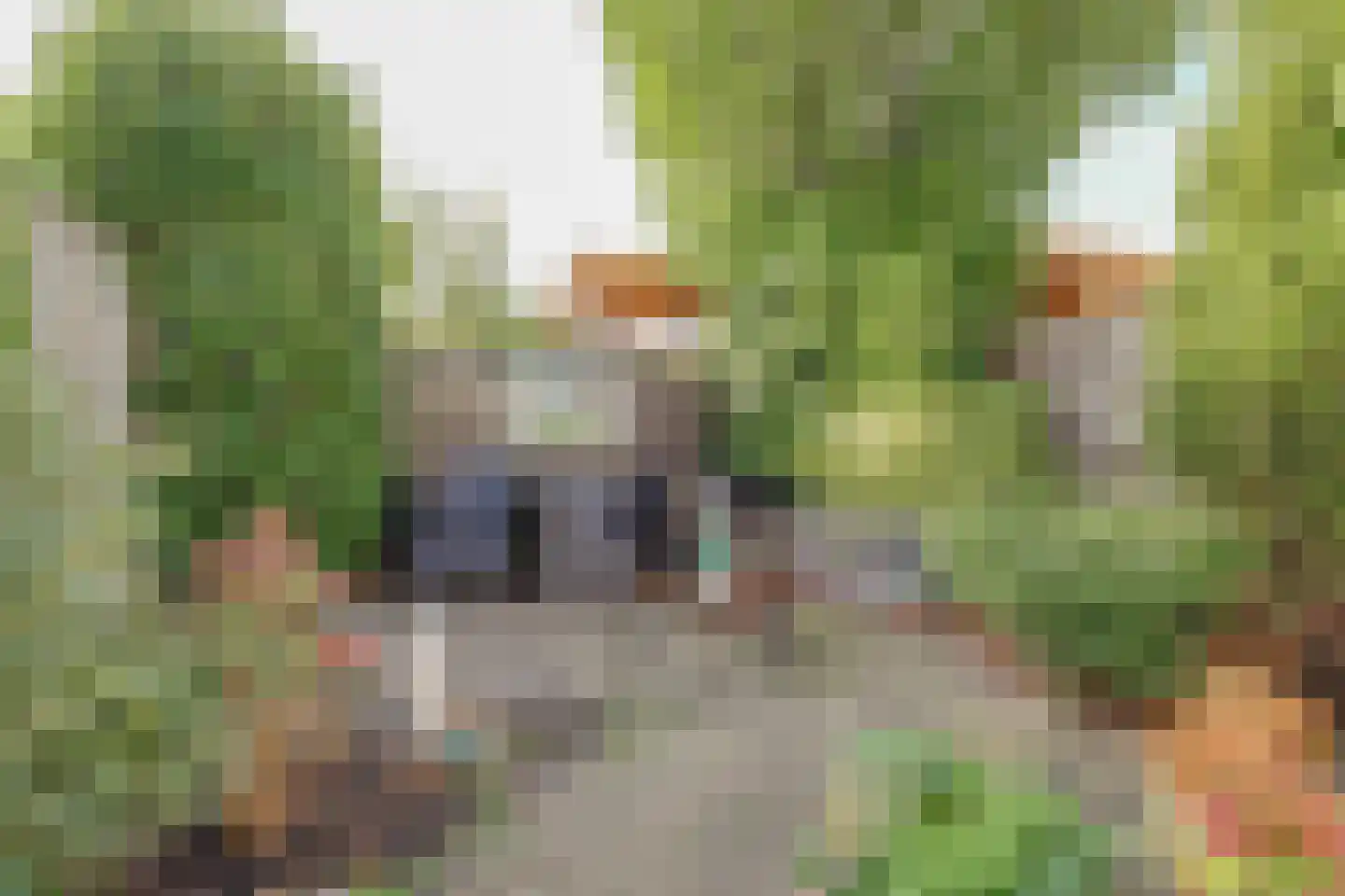 Drieboomlaan 54 Hoorn thumbnail 21