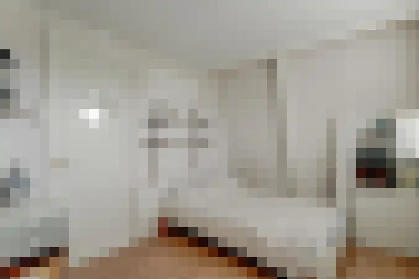 Drieboomlaan 54 Hoorn thumbnail 28