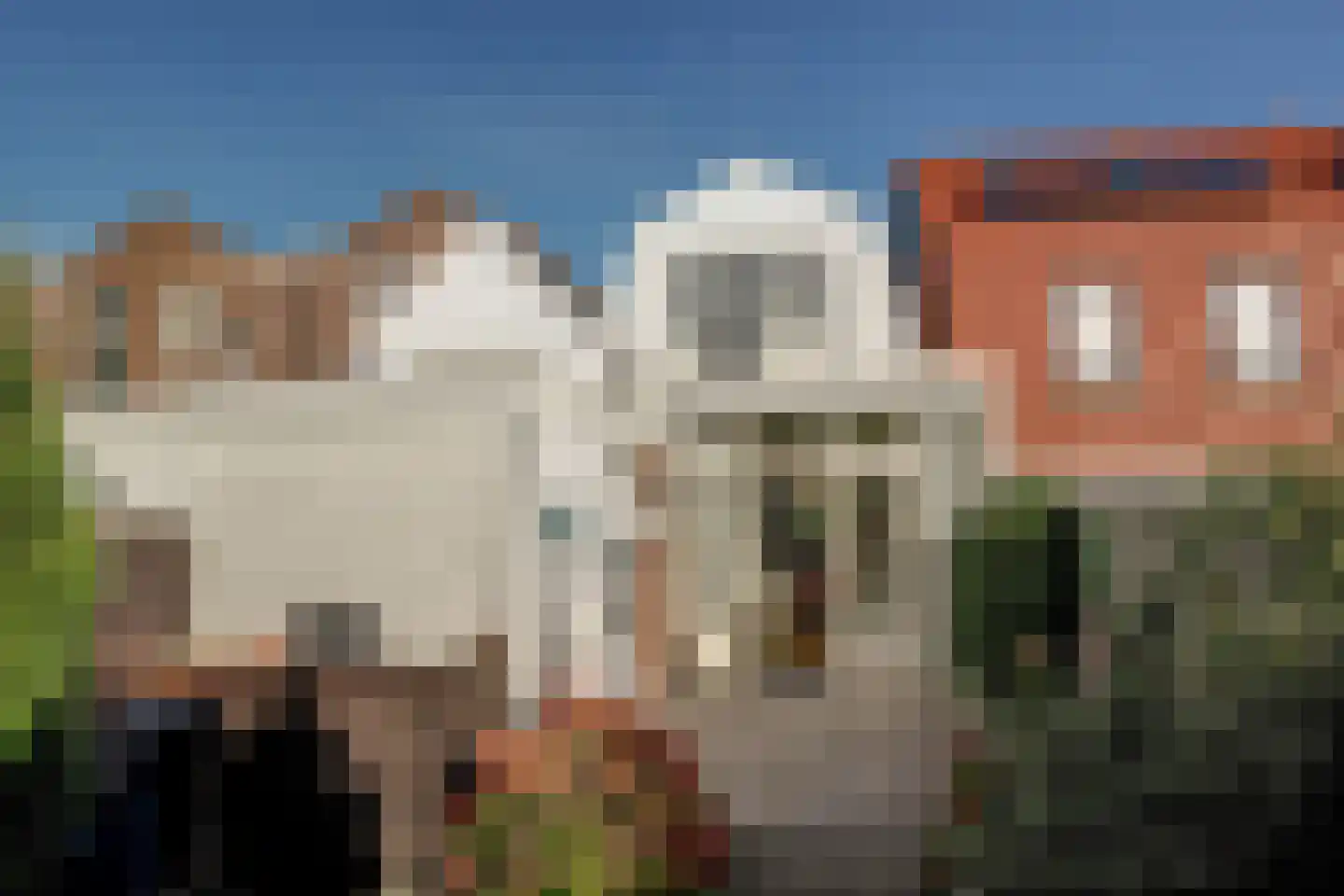 Drieboomlaan 54 Hoorn foto 3