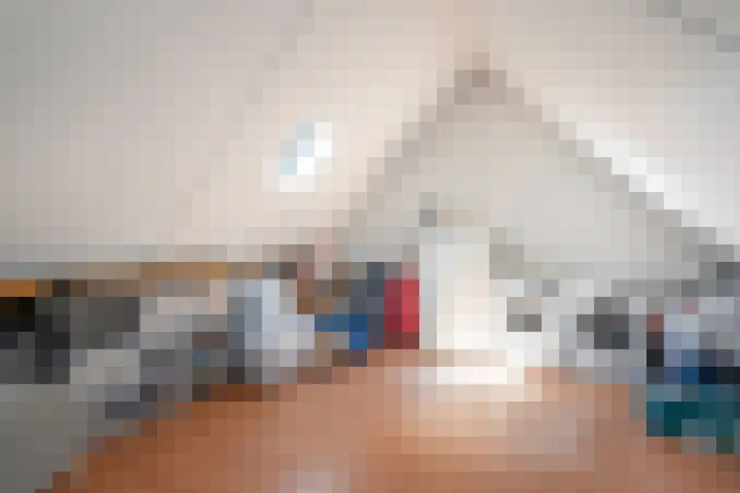 Driebruggenstraat 15 Zoetermeer thumbnail 27