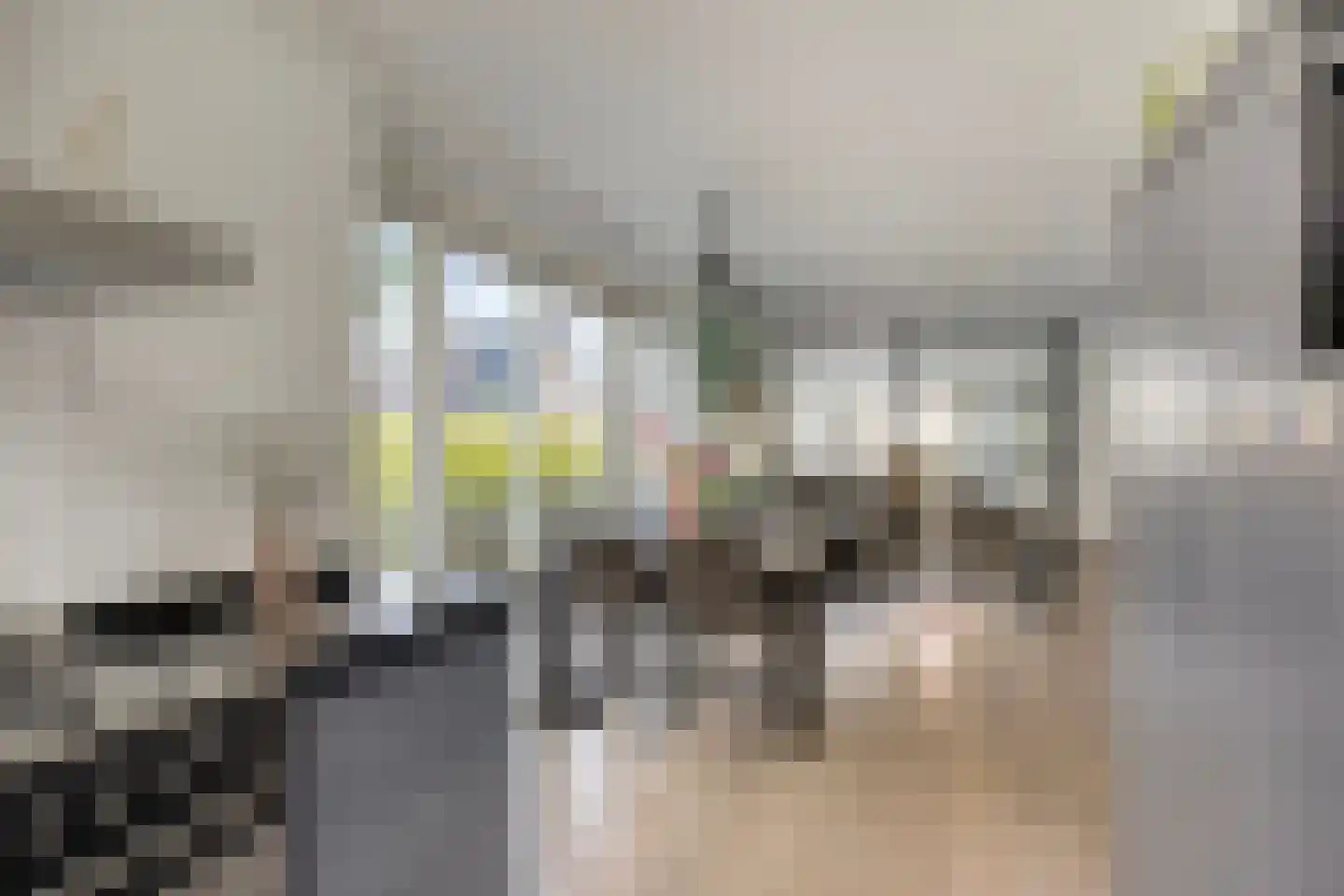 Driecantebosch 5 Heerhugowaard thumbnail 13