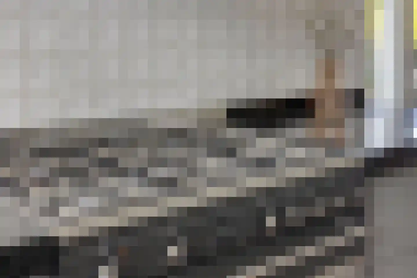 Driecantebosch 5 Heerhugowaard thumbnail 15