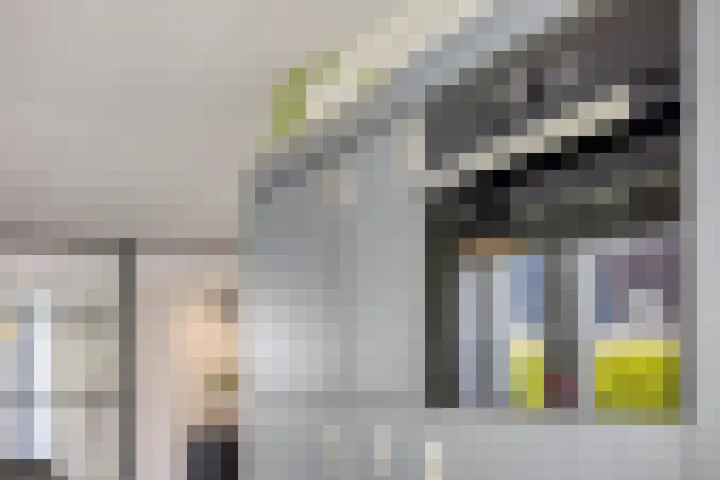 Driecantebosch 5 Heerhugowaard thumbnail 16