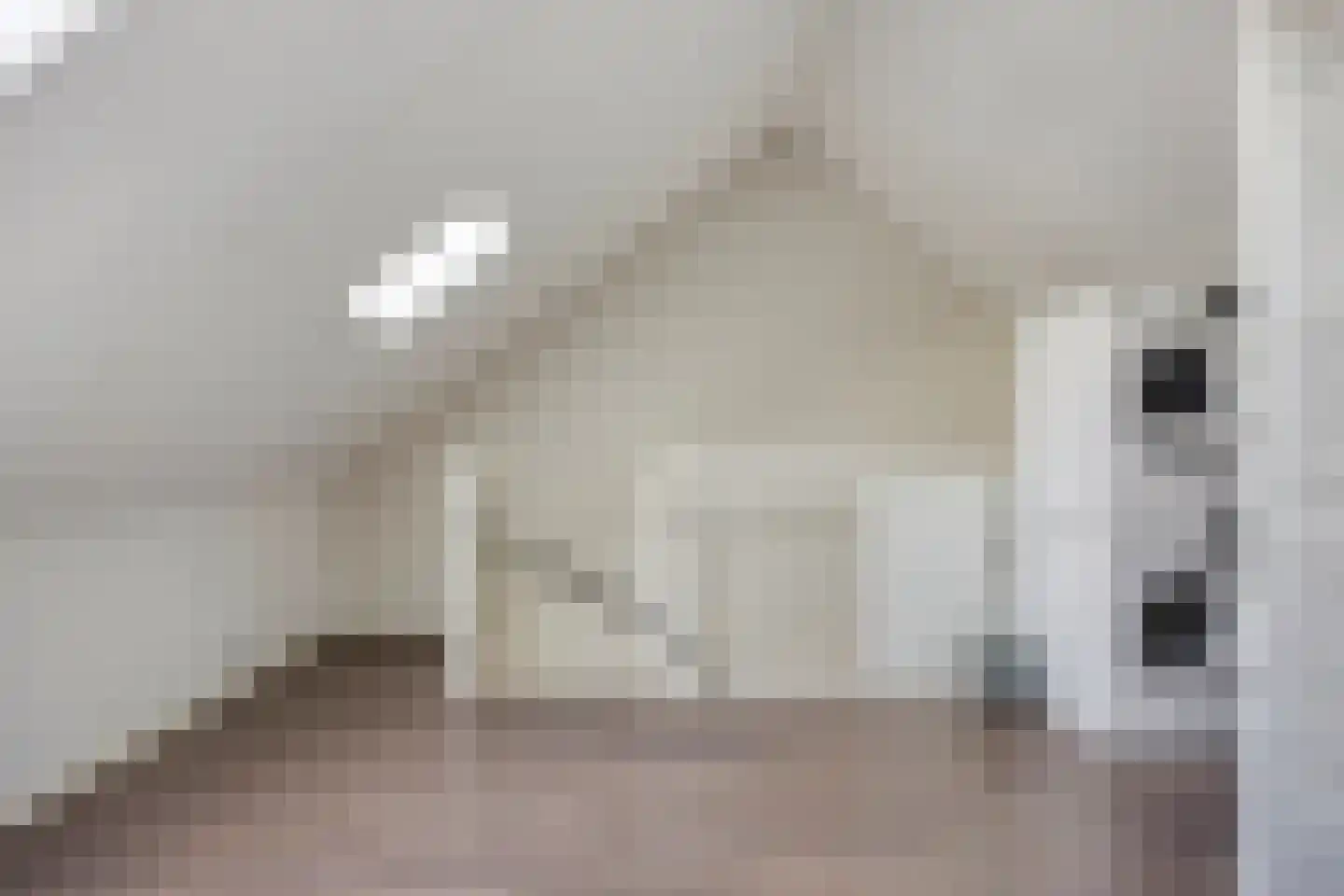 Driecantebosch 5 Heerhugowaard thumbnail 30