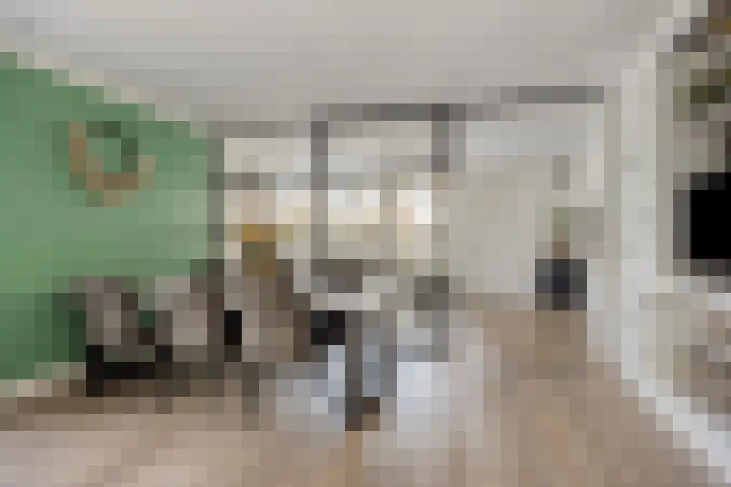 Driecantebosch 5 Heerhugowaard thumbnail 9