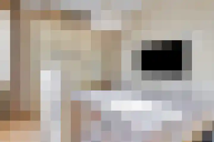 Driedistel 11 Rotterdam thumbnail 11