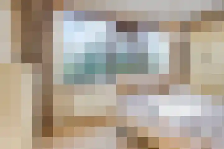 Driedistel 11 Rotterdam thumbnail 12