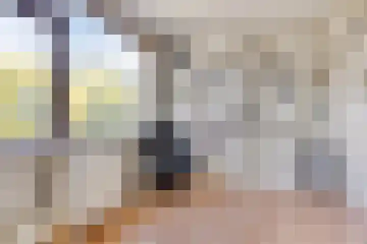 Driedistel 11 Rotterdam thumbnail 13