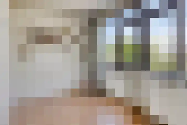 Driedistel 11 Rotterdam thumbnail 14