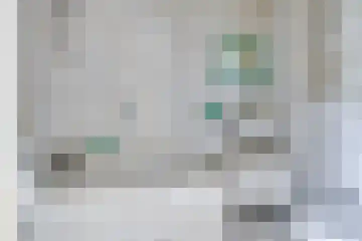 Driedistel 11 Rotterdam thumbnail 17