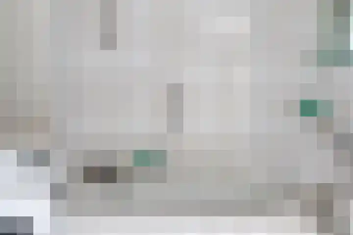 Driedistel 11 Rotterdam thumbnail 18
