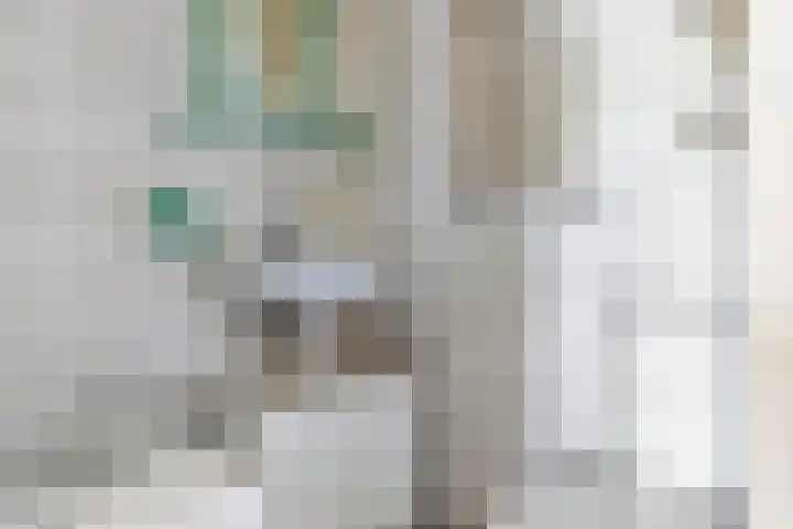 Driedistel 11 Rotterdam thumbnail 19