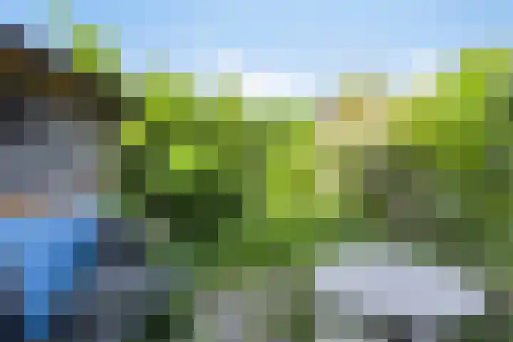 Driedistel 11 Rotterdam thumbnail 21