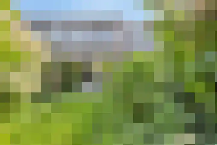 Driedistel 11 Rotterdam thumbnail 22