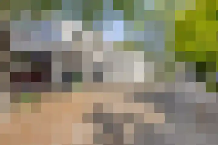 Driedistel 11 Rotterdam thumbnail 23