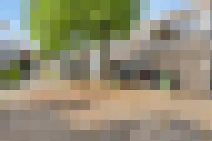 Driedistel 11 Rotterdam thumbnail 24